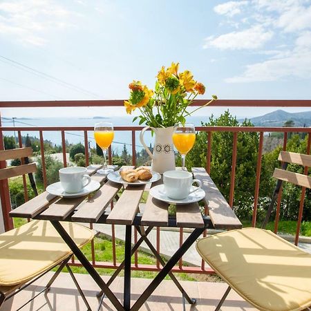 Villa Pergola-Apartment Toni Mlini Eksteriør bilde